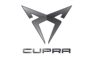 Aumento de potencia Cupra_MAINZ-MOTORSPORT
